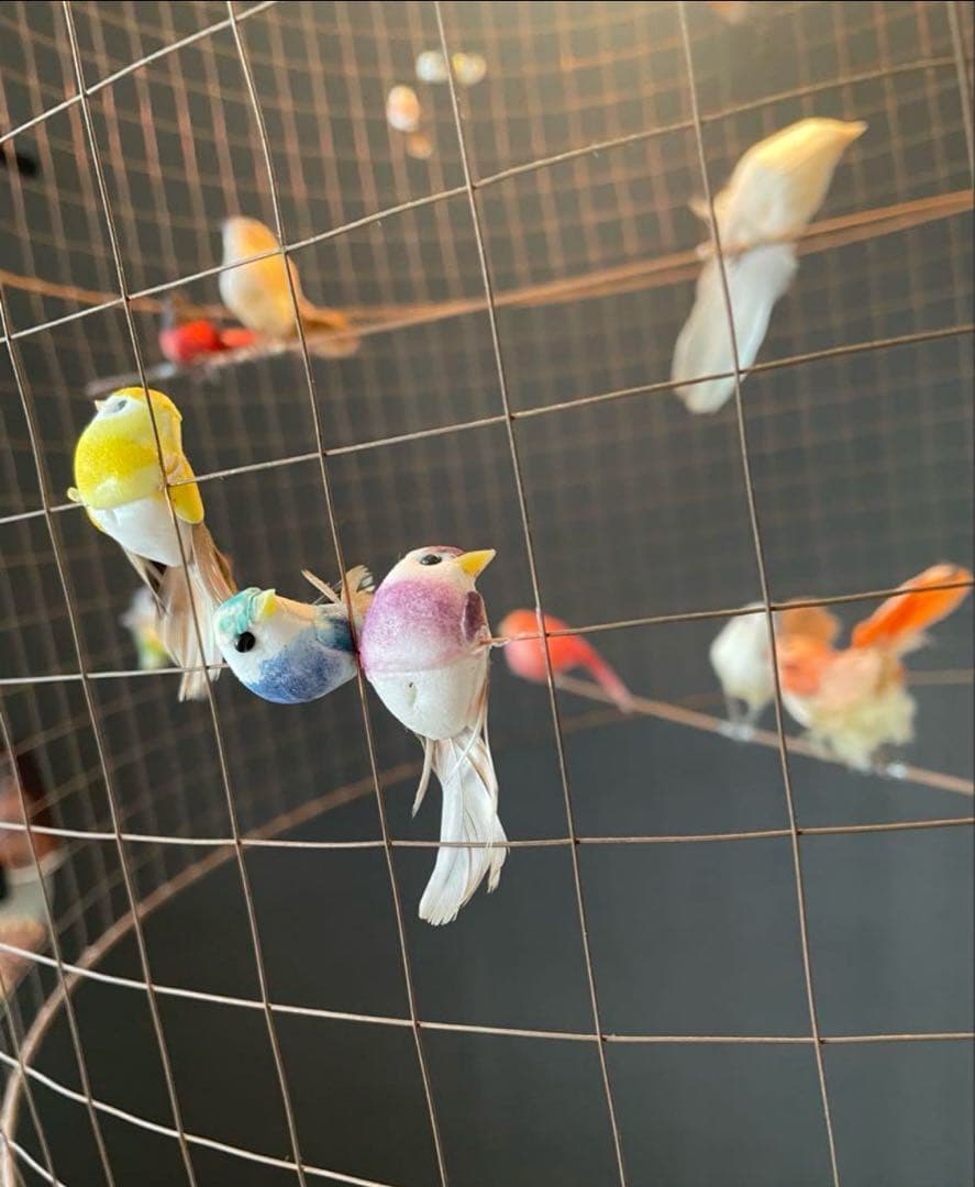 専用　コンランショップ　LA VOLIERE SHADE GRANDE ライト