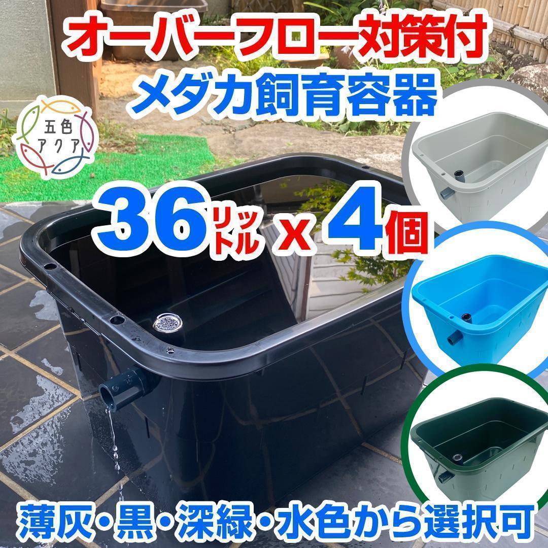メダカ飼育ケース 36㍑x4個（4色あり）オーバーフロー付 金魚容器 ビオトープ