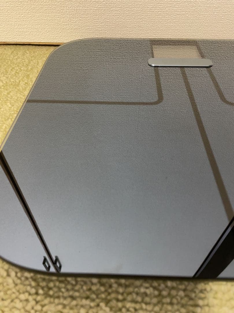 (美品 使用頻度僅か) GARMIN ガーミン INDEX S2