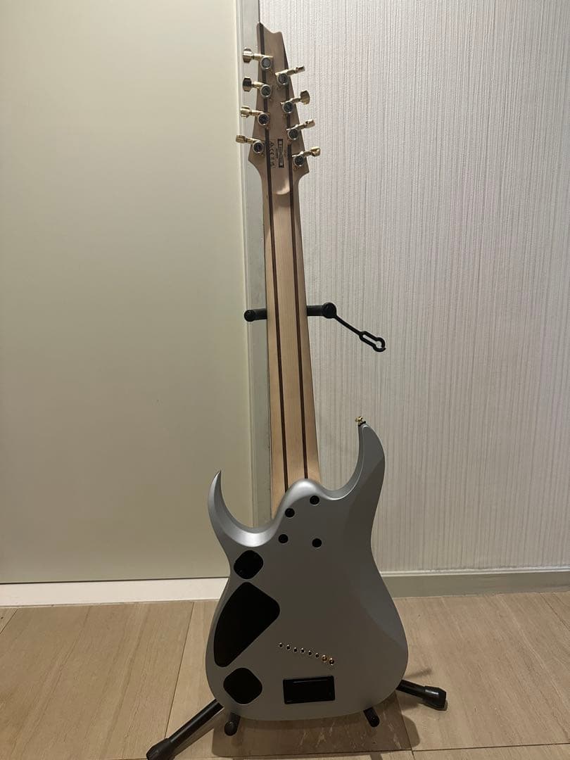 s*r様 Ibanez RGDMS8-CSM 8弦ギター