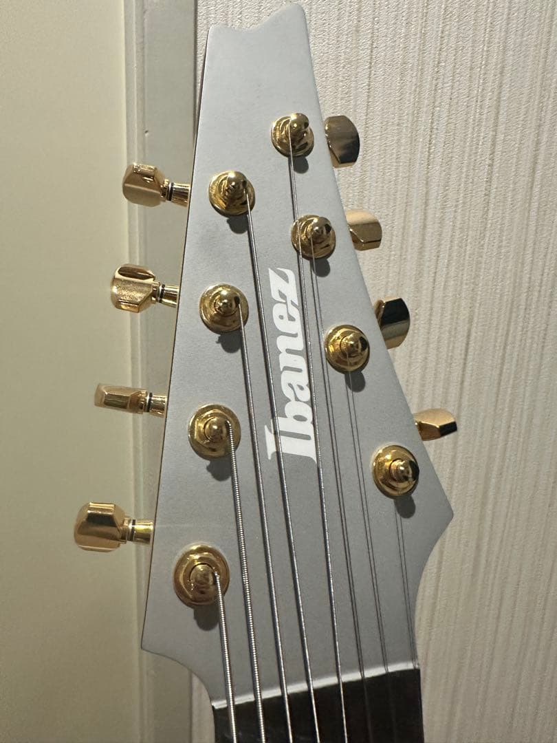 s*r様 Ibanez RGDMS8-CSM 8弦ギター