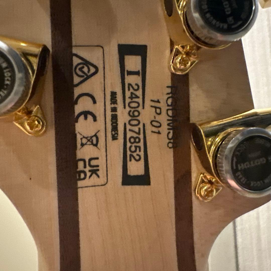 s*r様 Ibanez RGDMS8-CSM 8弦ギター