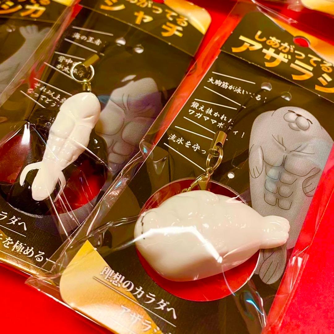 【須磨シーワールド】さらにしあがってるシャチの仲間たち　岩本照　スノーマン　7点