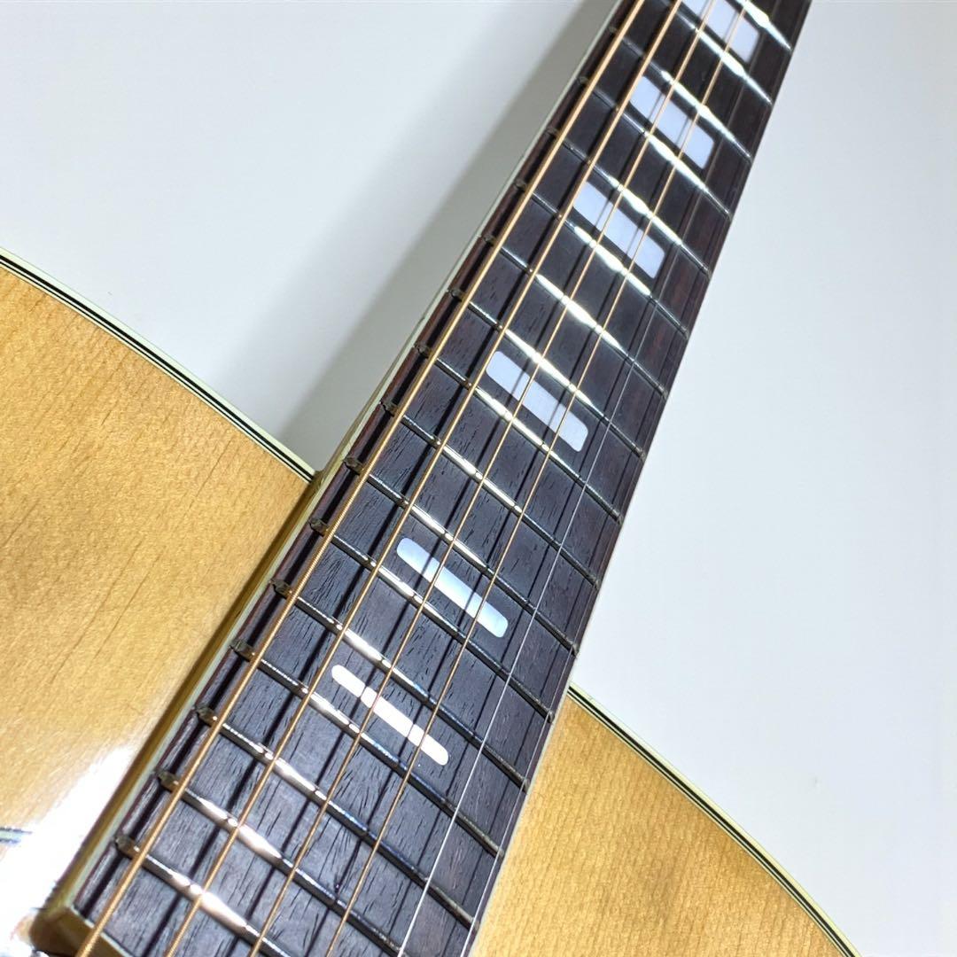 SPLENDOR スプレンダー 国産ドレッド 美品 杢メイプル