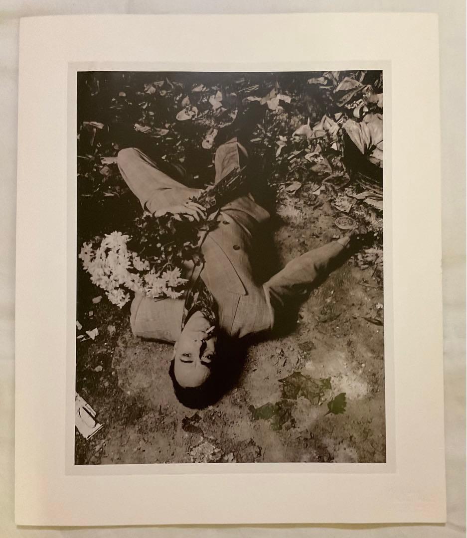 ALASTAIR THAIN PHOTOGRAPHS 限定版367/500