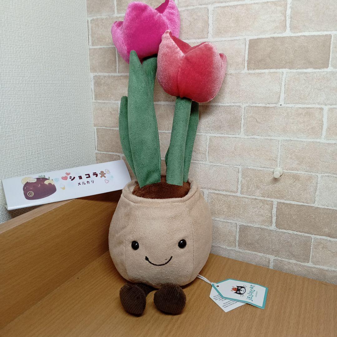  tulip pot　ジェリーキャット　チューリップ 花 植木鉢