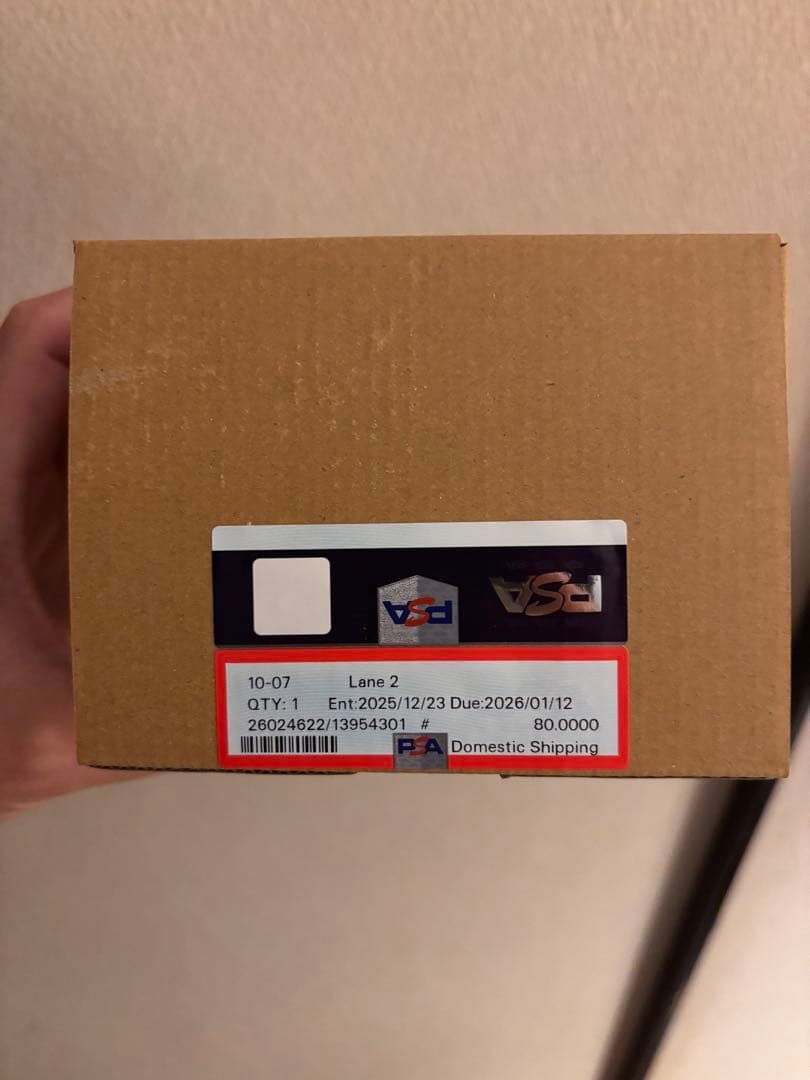 リーリエの決心SAR psa9