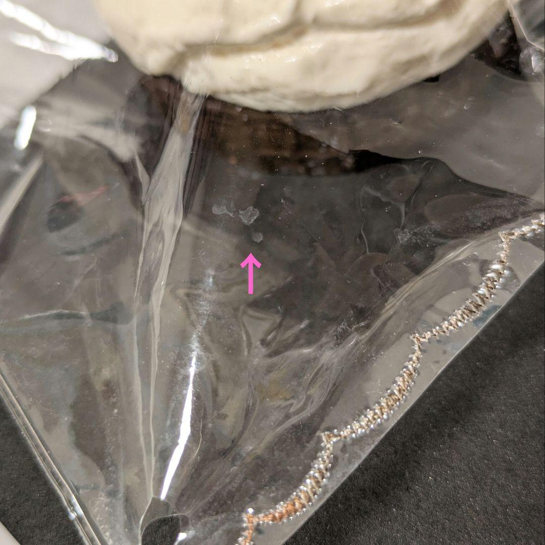 【桔梗 様】商品確認用ページ