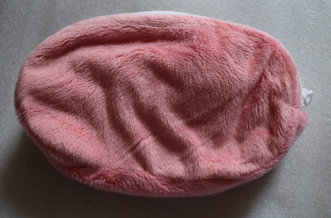 d⭐️ポケモン⭐️　メタモン　ピチュー　&　ピカチュウ　&　ライチュウ　ポーチ