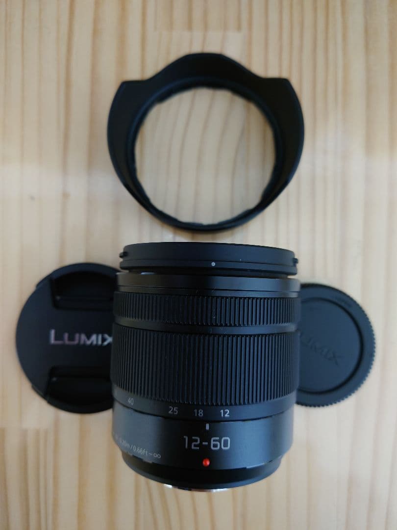 Panasonic パナソニック ルミックス 12-60mm F3.5-5.6