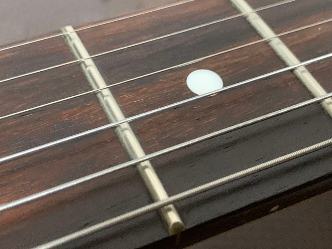 SELDER セルダー テレキャスター タイプ TL テレキャス