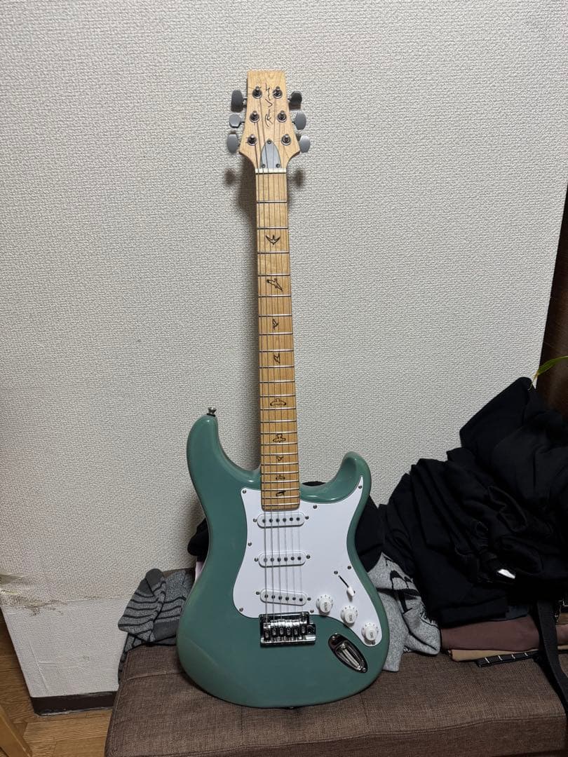 ギター RJ Vibecaster Professional