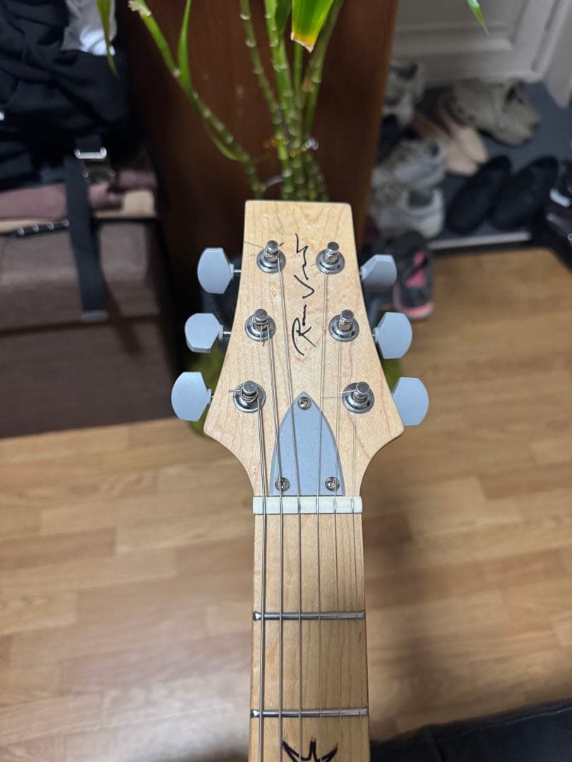 ギター RJ Vibecaster Professional