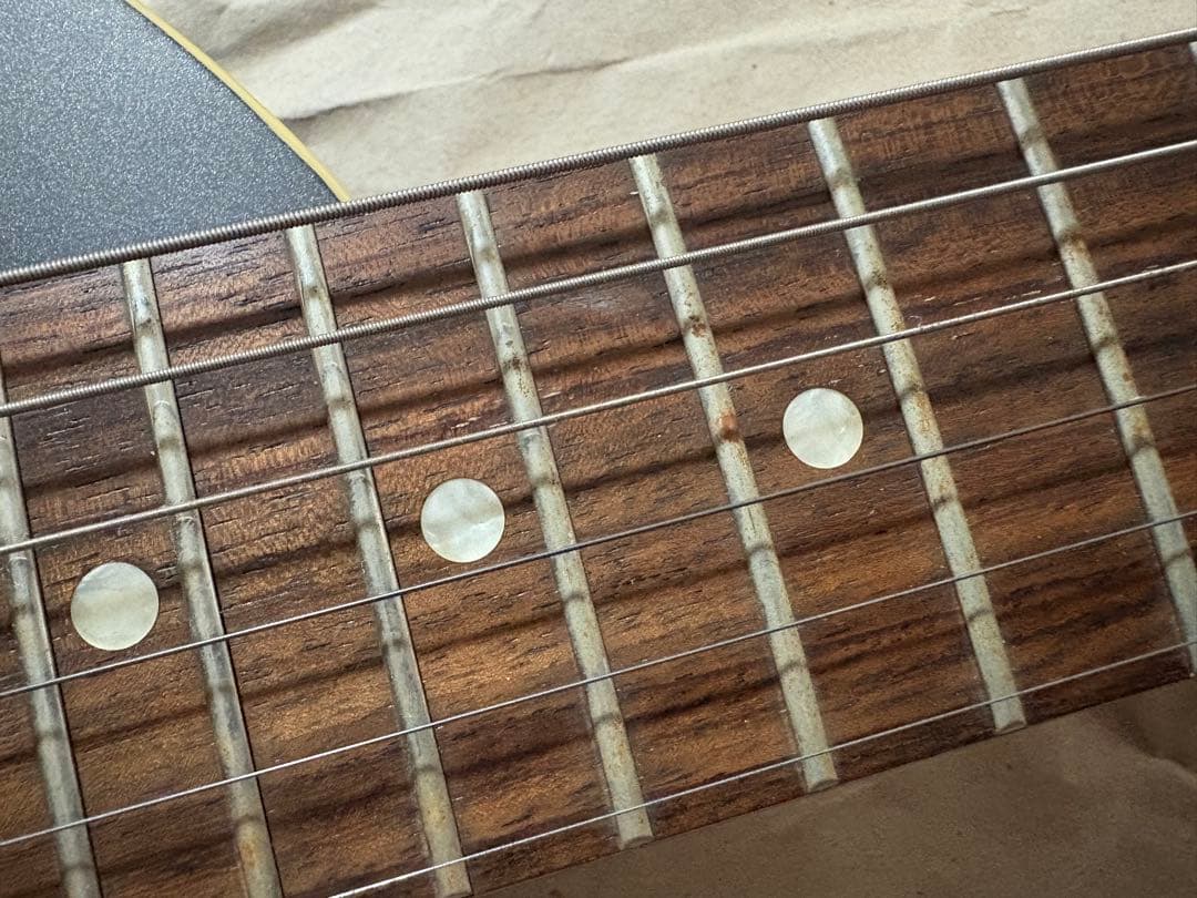 フェルナンデス　ZO-3T 芸達者