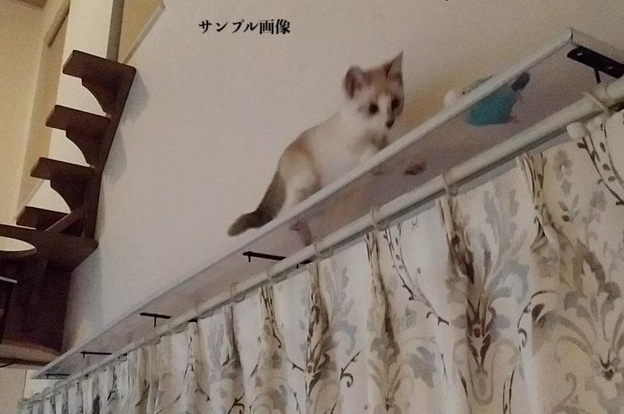 キャットウォーク、手すり付き階段、ねこちゃんもあんしん、軽量設計