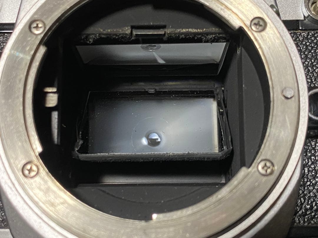 Nikon ニコン FE + おまけ MD12 (説明書付)