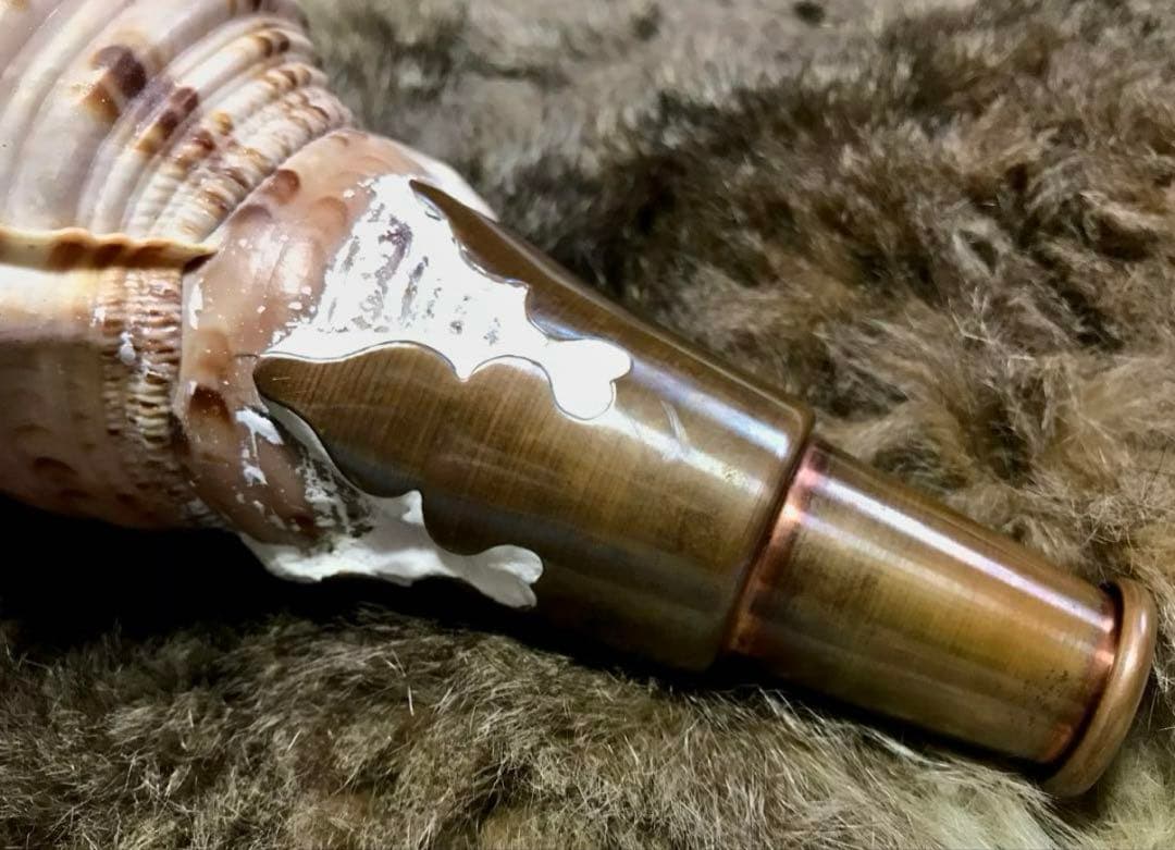 【超美品】42cm超え　大型法螺貝(ほら貝ホラ貝)