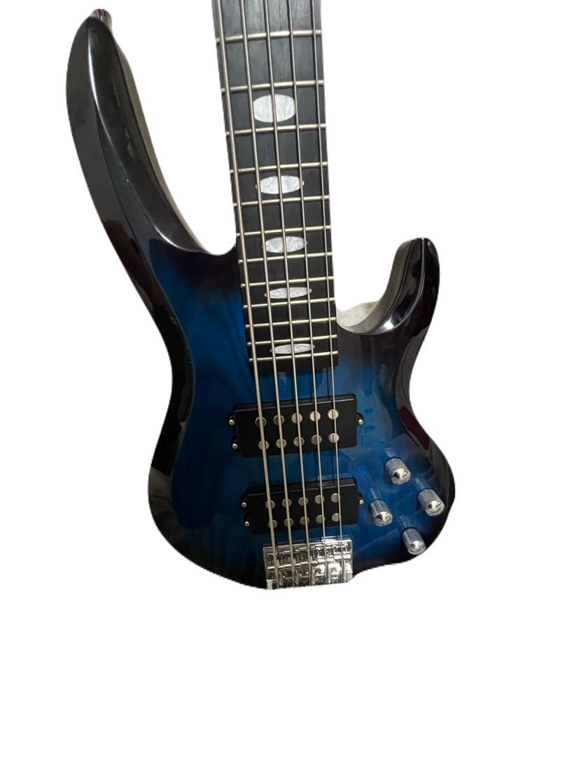 PLAYTECH AB520 Blueburst 5弦 ベース 新品弦セット
