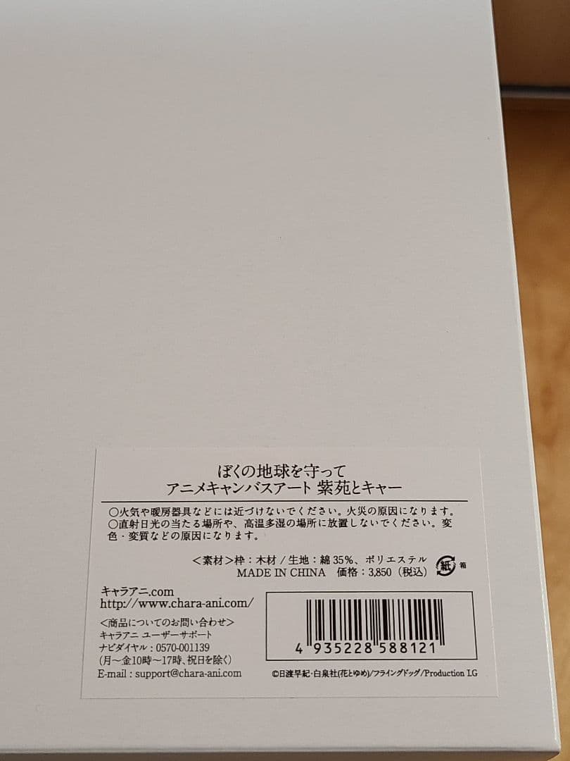 ぼくの地球を守って アニメキャンバスアート　紫苑とキャー