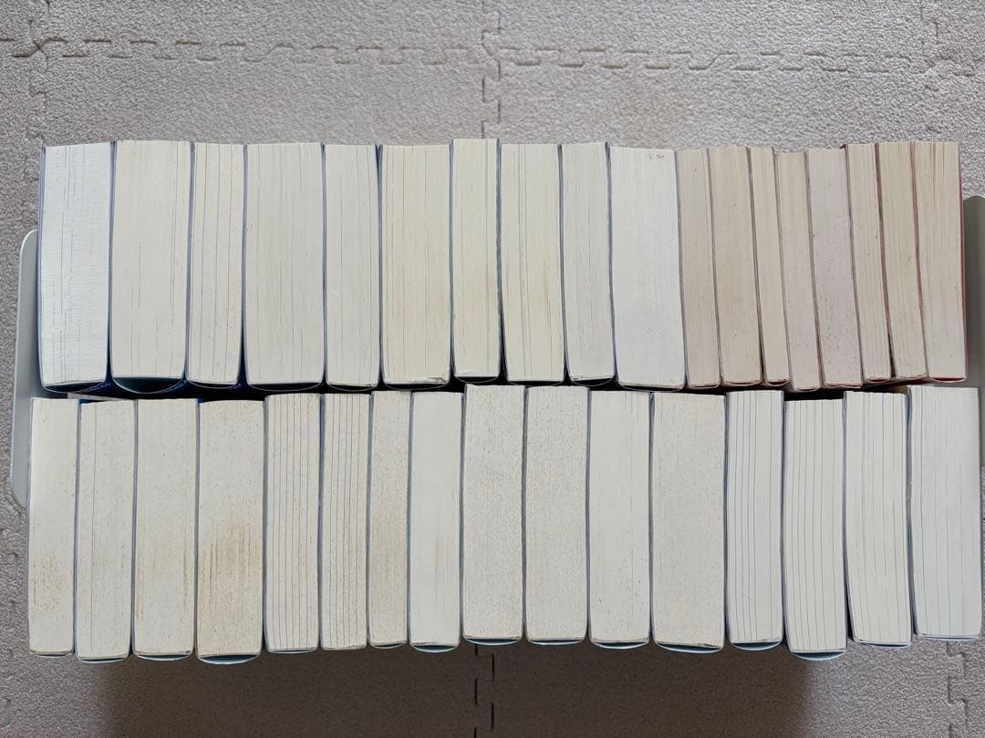 ♪されど罪人は竜と踊る 1〜24&0.5&オルケストラ+スニーカー文庫 8冊