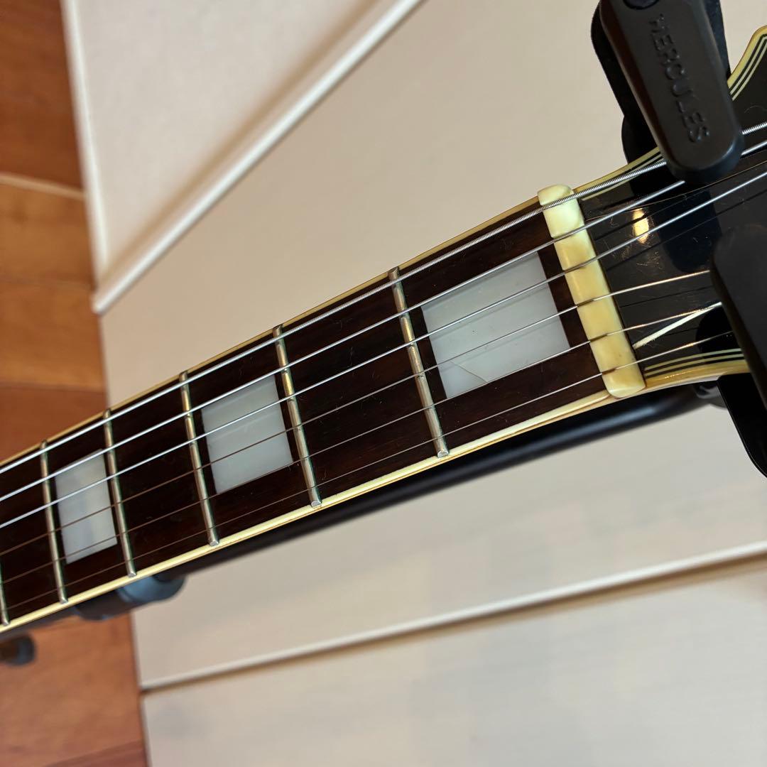 GrassRoots/グラスルーツ レスポールカスタム ブラック ソフトケース付