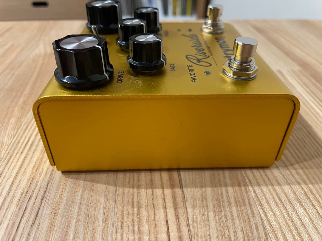 STRYMON side ストライモン リバーサイド