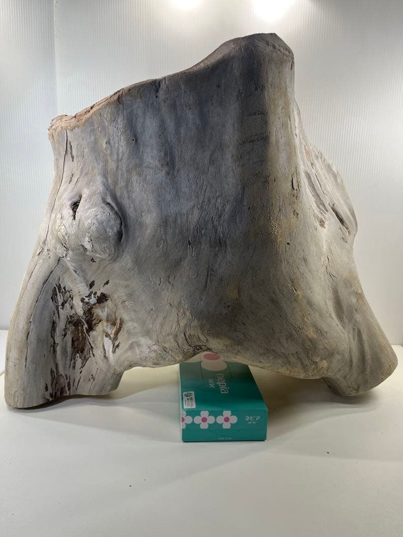 r86特大流木 アク抜き済み 爬虫類シェルター インテリア オブジェ テラリウム