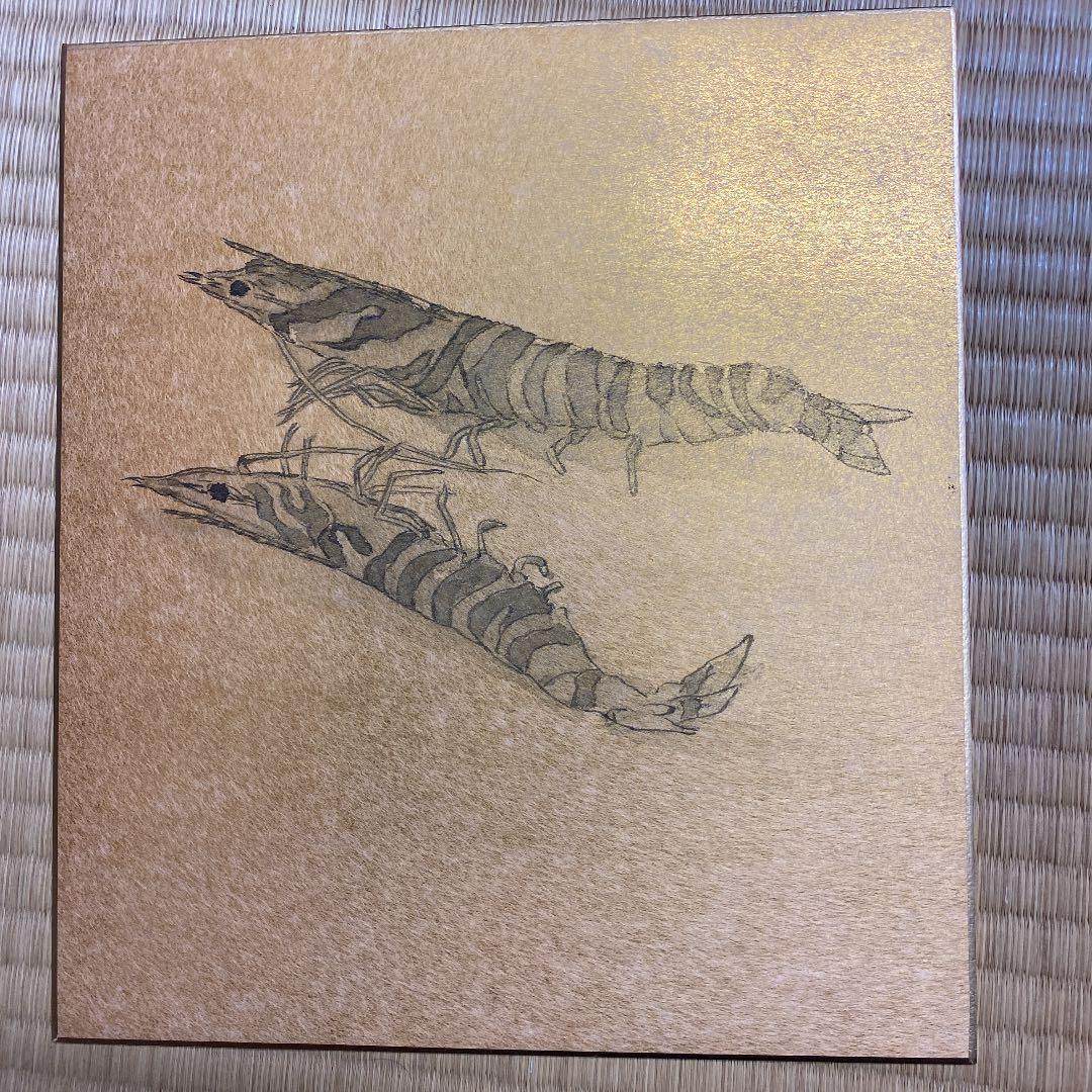 日本画　車海老