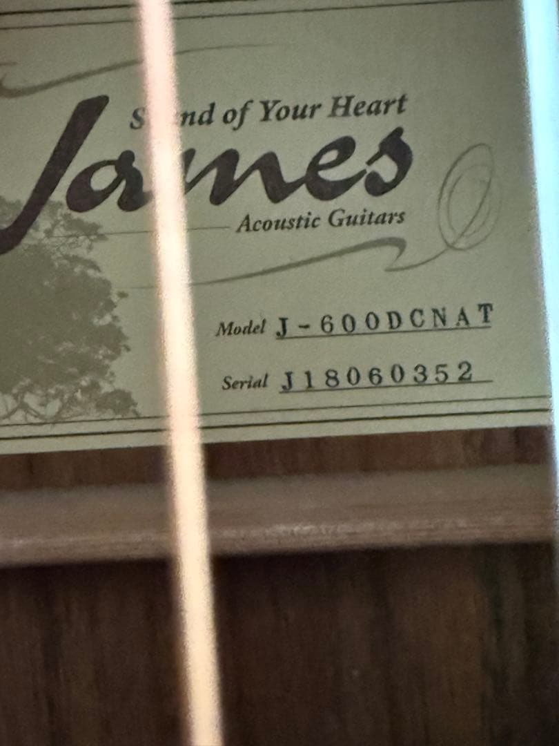 James J-600DCNAT アコースティックギター ケース付き　エレアコ