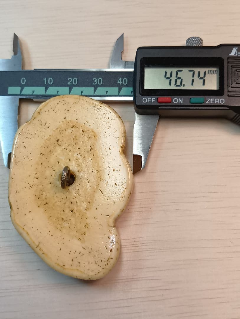 煙草入れ農村図相良刺し夫婦鶏前金具　家紋金工セイウチ牙根付