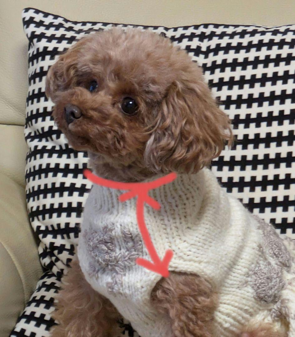 ご覧の皆様へ　採寸について少し…