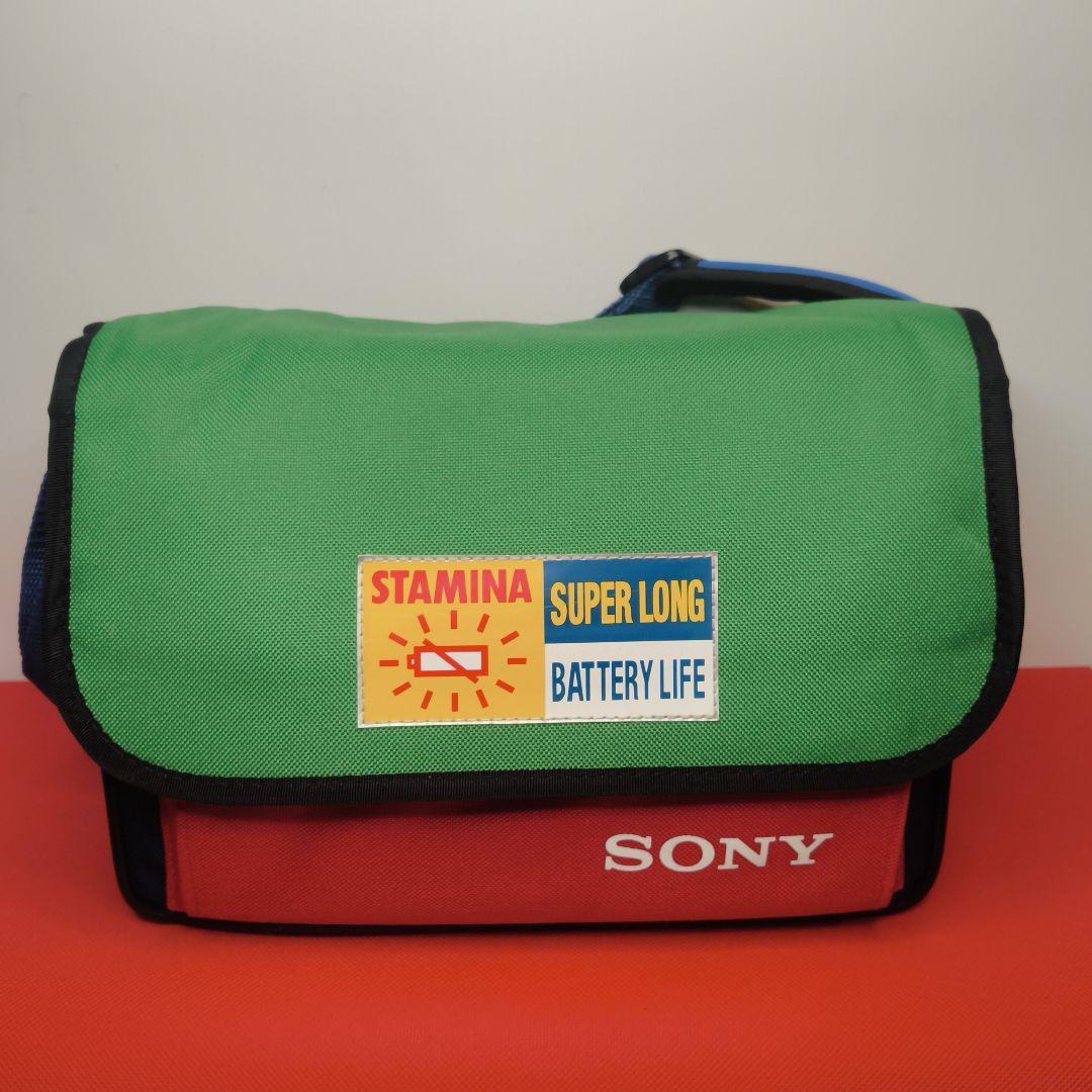 【動作確認済】SONY ソニーDCR-TRV107 ミニDV ビデオカメラ