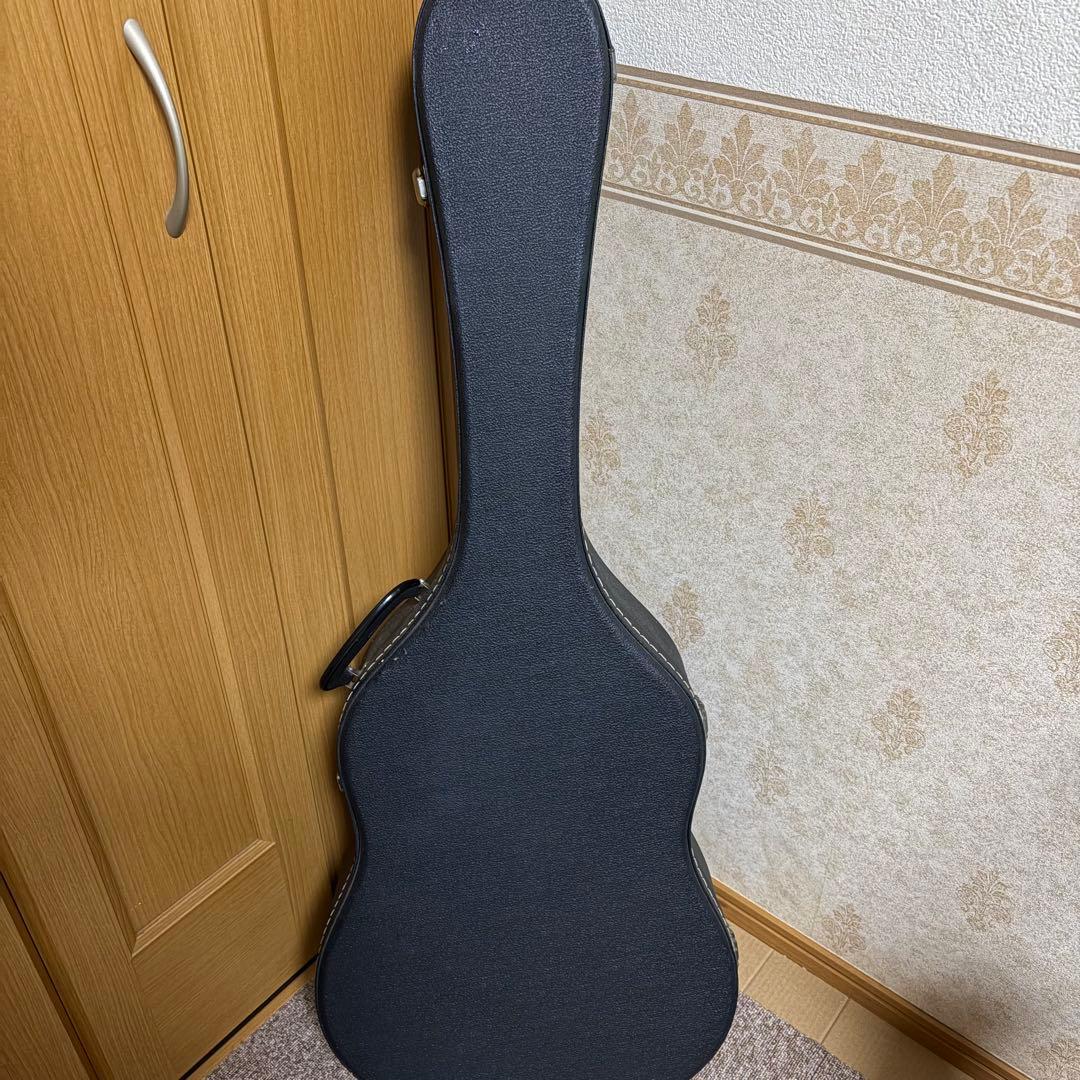 RSL-701 K.Yairi サンバースト