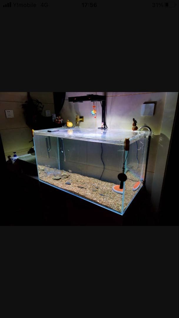 20Lろ材水質浄化抜群濾過フィルター自社製高品質セラミックリング送料込み