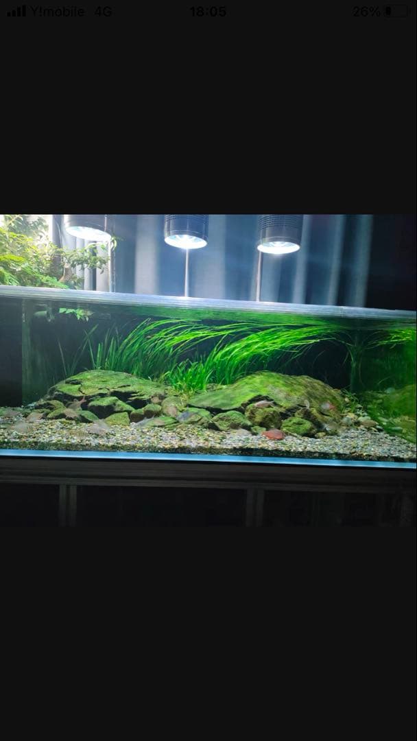 20Lろ材水質浄化抜群濾過フィルター自社製高品質セラミックリング送料込み