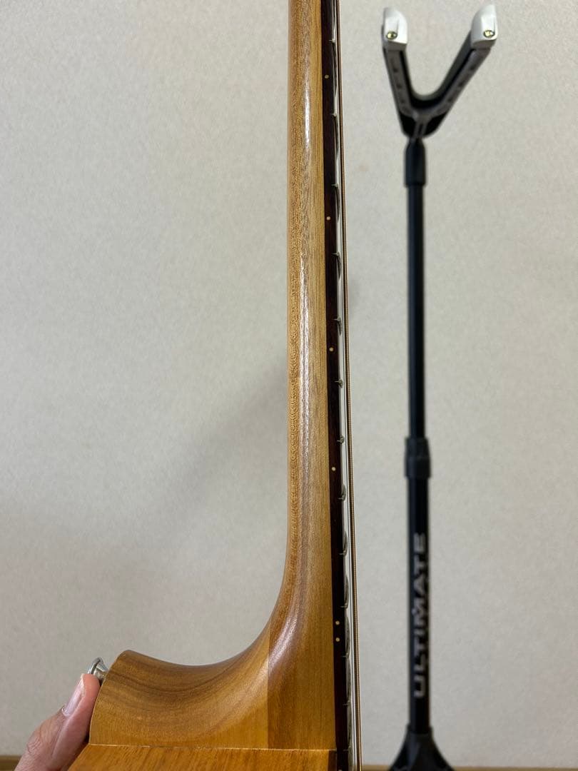 Cole Clark FL2AC 値下げ