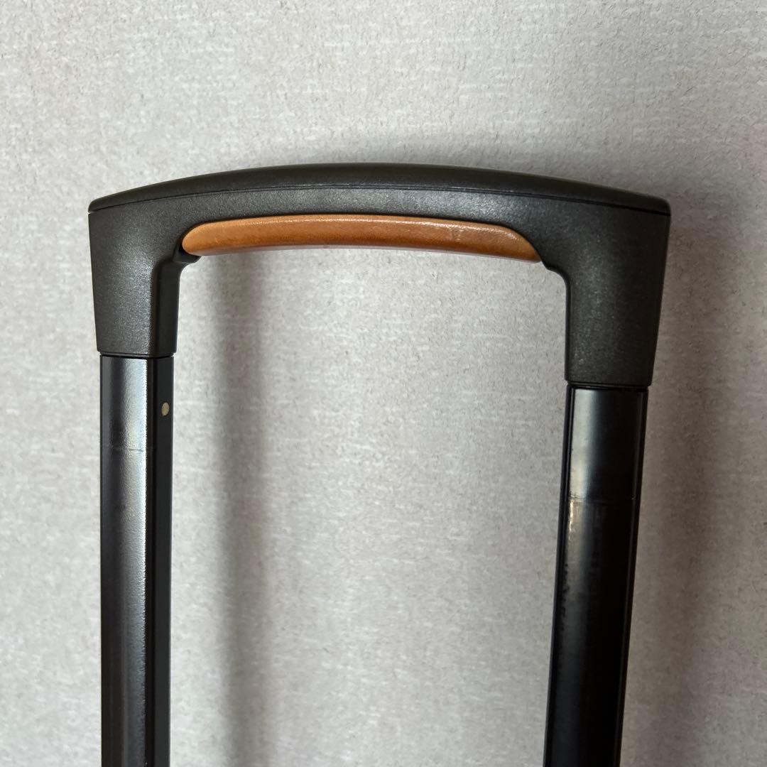 Louis Vuitton ペガサス50キャリーバック　スーツケース　トラベル