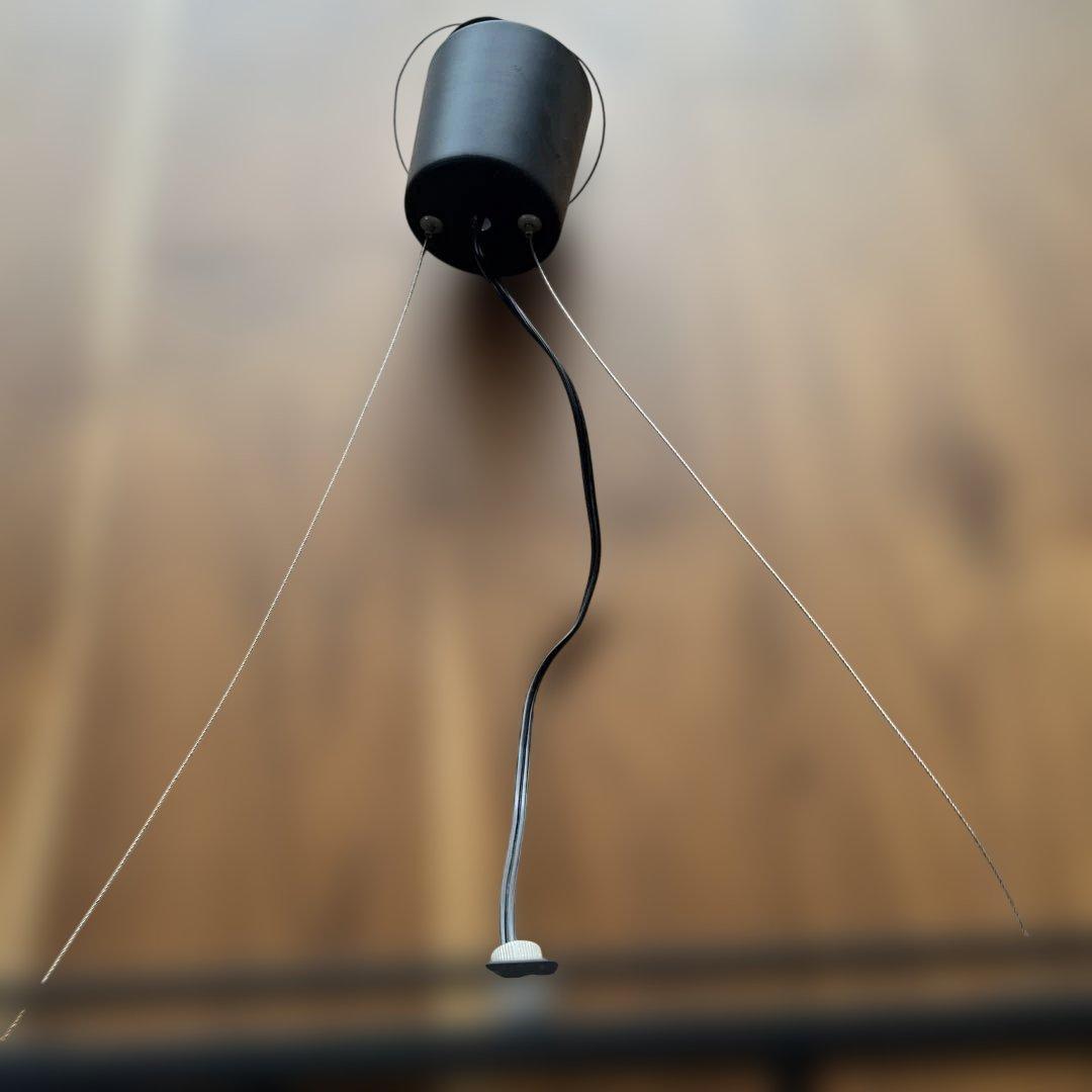 DI-CLASSE/ディクラッセ ブラック シーリングライト