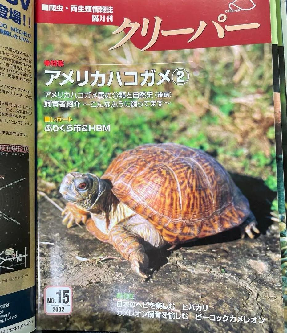 クリーパー 13号から18号　6冊　バインダーセット