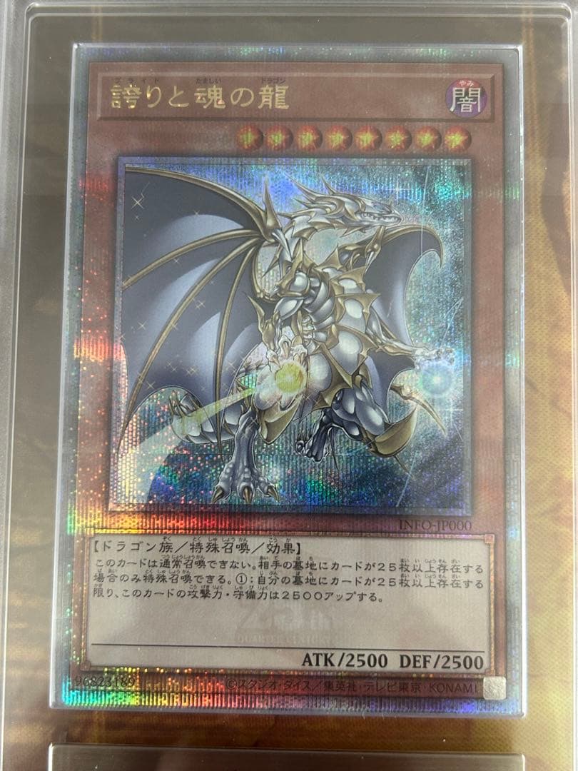 【ARS10+】誇りと魂の龍　25th 日版【ほこたま】