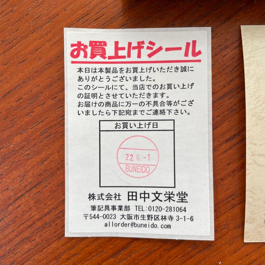 SAILOR プロフェッショナルギア マイカルタ 万年筆