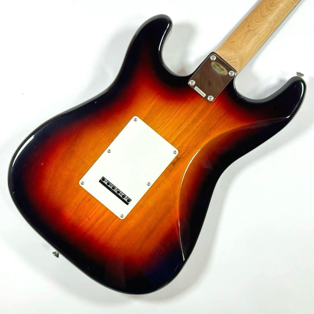 BUSKER'S BSE-3TS エレキギター 新品のソフトケース付き