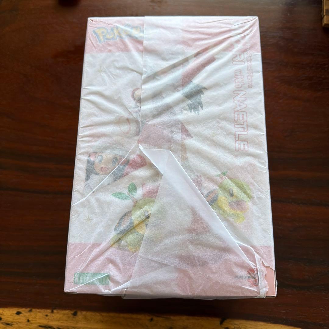 ポケットモンスター　ヒカリwithナエトル