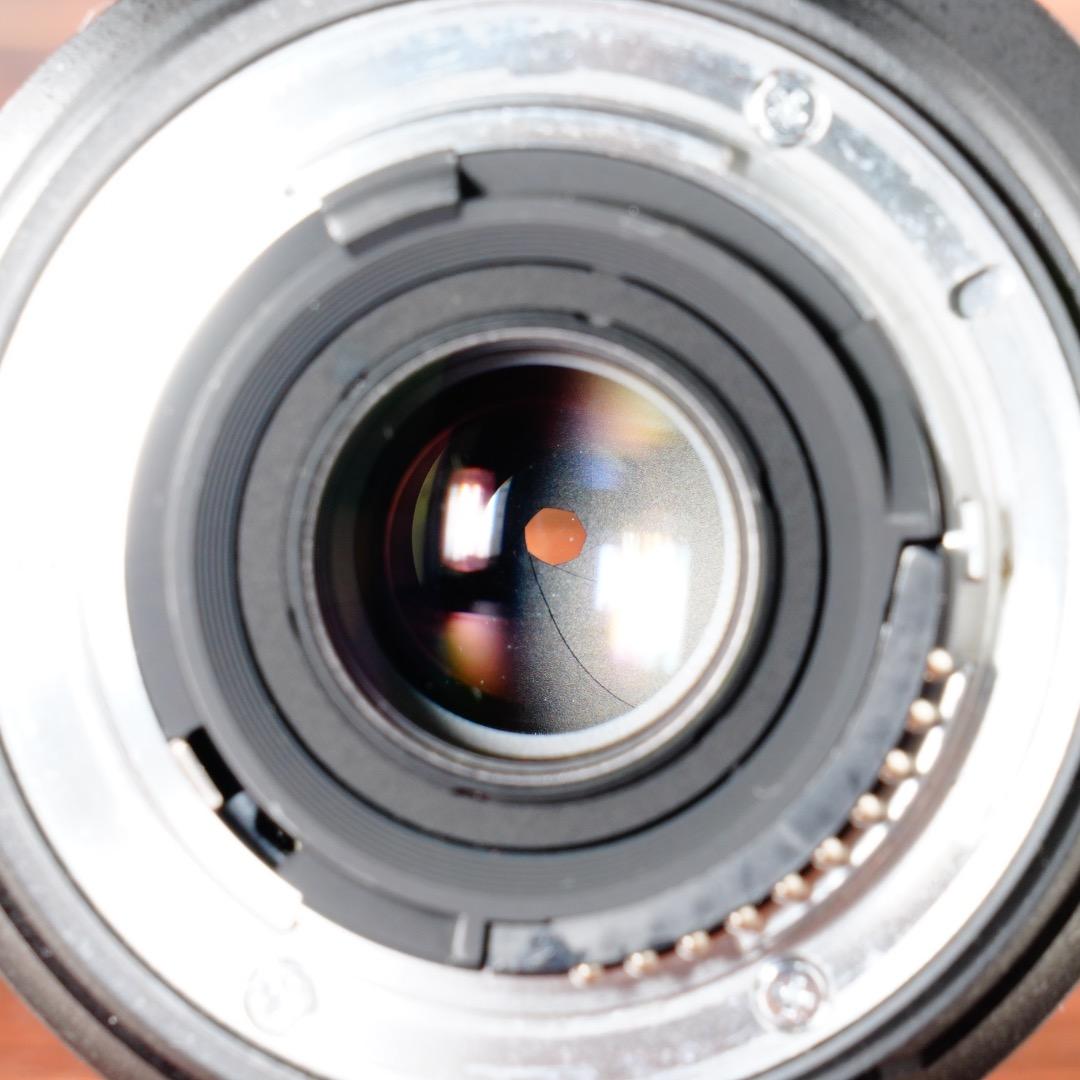 極上美品★ニコン 18-200mm VR II 便利ズーム 手ぶれ補正 173