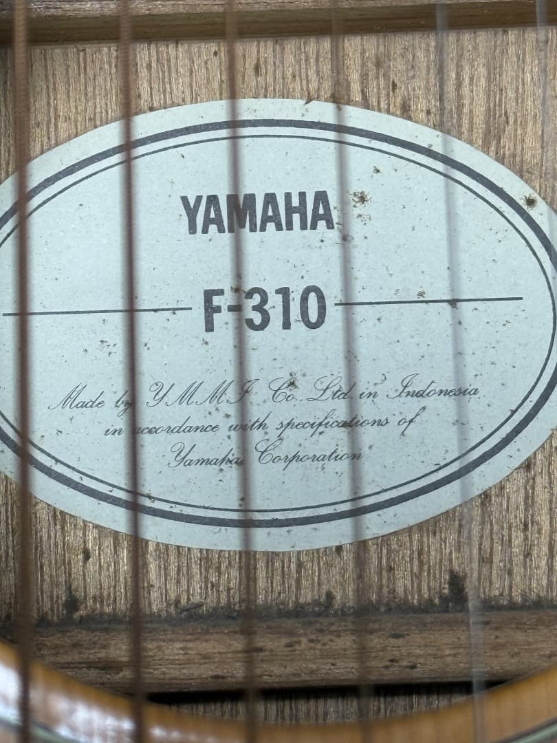 Yamaha F-310 ヤマハ＋ Gator製ギグケース