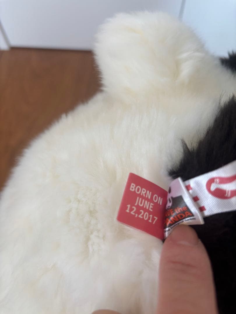 上野動物園　香香　ぬいぐるみ　抱っこ　シャンシャン