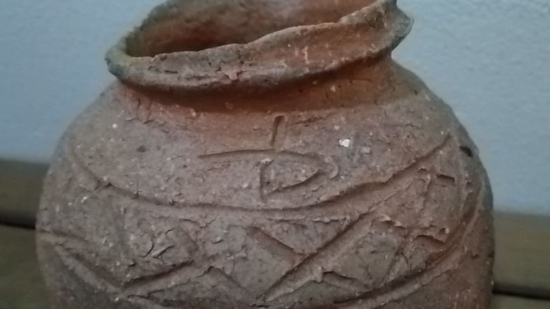 杉本貞光 信楽 蹲壺