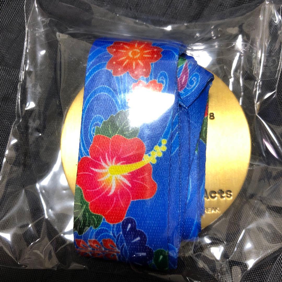 【ポケモンラン　ガーディ　メダル