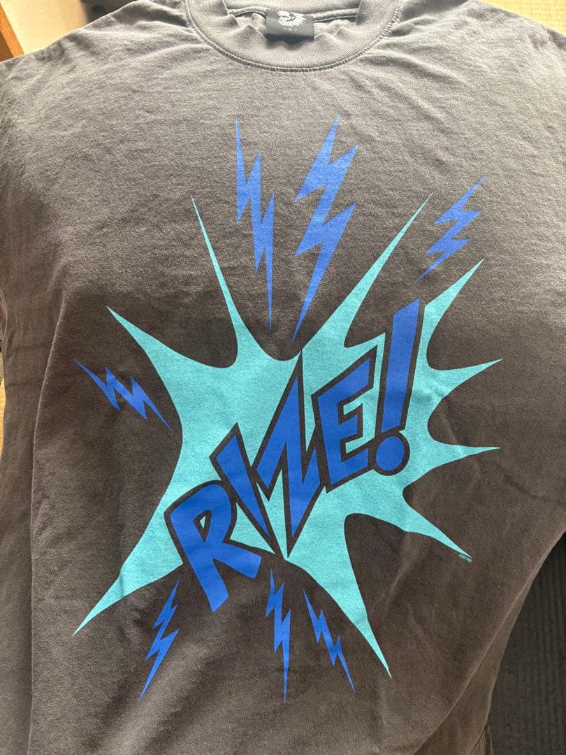 RIZE experience Tシャツ L 新品未開封　グッズ　家紋