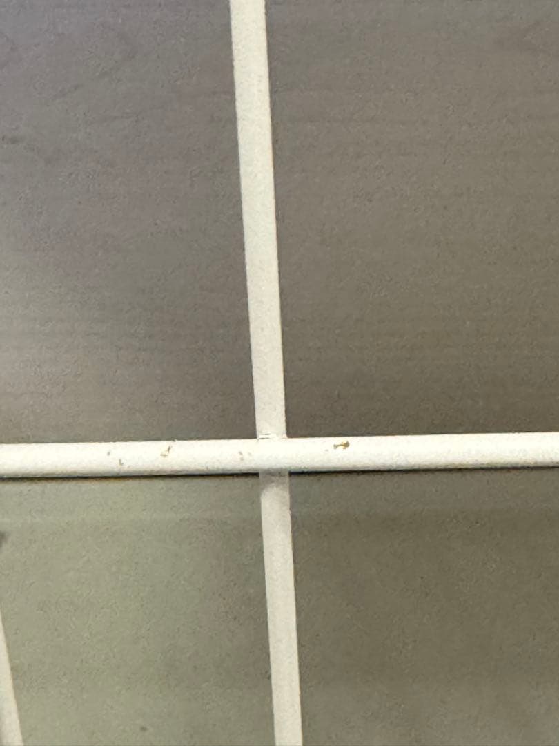 アイリスオーヤマ　ウッディサークル　スライド扉　犬用ケージ